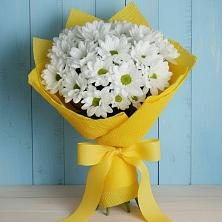 Букет цветов из:  Хризантемы в Ивановском Курской области