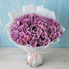 Букет цветов из:  Хризантемы в Ивановском Курской области