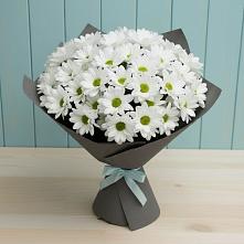 Букет цветов из:  Хризантемы #REPLACE_PRED# Ивановском Курской области