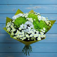 Букет цветов из:  Хризантемы в Ивановском Курской области