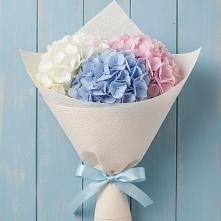 Букет цветов из:  Гортензия #REPLACE_PRED# Ивановском Курской области