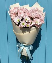 Букет цветов из:  Хризантемы в Ивановском Курской области