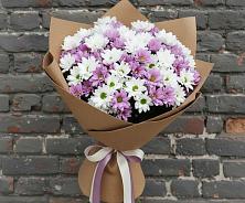 Букет цветов из:  Хризантемы #REPLACE_PRED# Ивановском Курской области