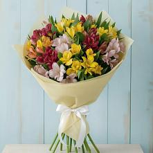 Букет цветов из:  Альстромерии в Ивановском Курской области
