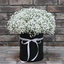 Цветочная композиция из Гипсофила в шляпной коробке #REPLACE_PRED# Ивановском Курской области