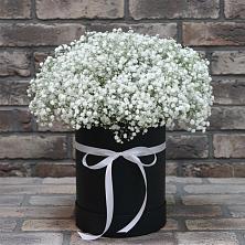 Цветочная композиция из Гипсофила в шляпной коробке в Ивановском Курской области