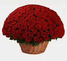 Премиум букет из: Розы в Ивановском Курской области