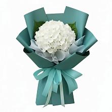 Букет цветов из:  Гортензия в Ивановском Курской области
